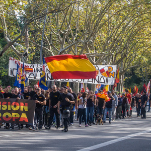Die etwa 400 Teilnehmenden des Neonazi-Aufmarsches, die sich aus den Gruppen DN, Democracia Nacional Joven, AN, Division Europa, La Falange, Frente x España und NPE zusammensetzen, verteilten sich auf der Demonstration in vier fast gleich große Blöcke, was nicht nur der Sichtbarmachung der einzelnen Gruppen diente, sondern in erster Linie Produkt interner Streitigkeiten ist.  Die etwa 400 Teilnehmenden des Neonazi-Aufmarsches, die sich aus den Gruppen DN, Democracia Nacional Joven, AN, Division Europa, La Falange, Frente x España und NPE zusammensetzen, verteilten sich auf der Demonstration in vier fast gleich große Blöcke, was nicht nur der Sichtbarmachung der einzelnen Gruppen diente, sondern in erster Linie Produkt interner Streitigkeiten ist.