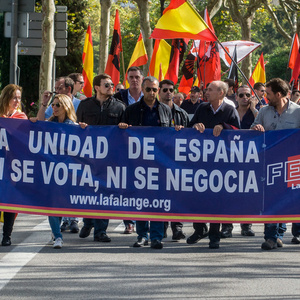 Die etwa 400 Teilnehmenden des Neonazi-Aufmarsches, die sich aus den Gruppen DN, Democracia Nacional Joven, AN, Division Europa, La Falange, Frente x España und NPE zusammensetzen, verteilten sich auf der Demonstration in vier fast gleich große Blöcke, was nicht nur der Sichtbarmachung der einzelnen Gruppen diente, sondern in erster Linie Produkt interner Streitigkeiten ist.  Die etwa 400 Teilnehmenden des Neonazi-Aufmarsches, die sich aus den Gruppen DN, Democracia Nacional Joven, AN, Division Europa, La Falange, Frente x España und NPE zusammensetzen, verteilten sich auf der Demonstration in vier fast gleich große Blöcke, was nicht nur der Sichtbarmachung der einzelnen Gruppen diente, sondern in erster Linie Produkt interner Streitigkeiten ist.